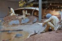 Algonquin Besucherzentrum