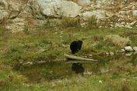 Im Omega-Wildpark