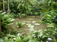 Grosse Australien Rundreise 2013 - Singapur