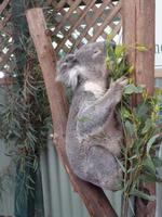 Grosse Australien Rundreise 2013 - Sydney