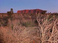 Grosse Australien Rundreise 2013 - Outback Northern Territory Uluru