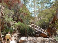 Grosse Australien Rundreise 2013 - Outback Northern Territory 