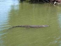 Grosse Australien Rundreise 2013 - Kakadu Nationalpark Northern Territory Yellow Waters