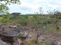 Grosse Australien Rundreise 2013 - Kakadu Nationalpark Northern Territory 
