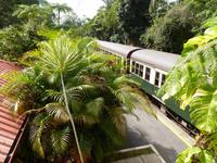 Grosse Australien Rundreise 2013 - Cairns Regenwald Queensland - Kuranda