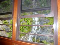 Grosse Australien Rundreise 2013 - Cairns Regenwald Queensland - Kuranda