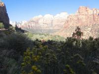 Im Zion Nationalpark