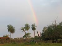 Pantanal