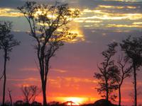 Sonnenuntergang im Pantanal
