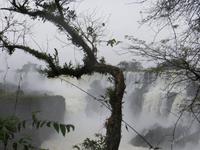 Iguazu Wasserfälle