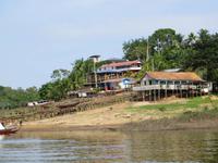 Amazonas
