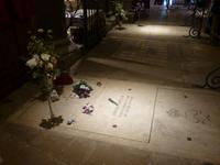 Nizza und Côte d'Azur - Single-Treuekundenreise