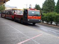 Studio Tram Tour