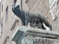 Säugende Wölfin in Rom