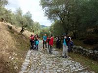 und den vierbeinigen Flix haben wir auch wieder dabei