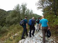 Wandergesellen