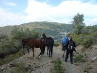 ganz vorsichtig haben wir uns an den wunderschönen Tieren vorbei geschlichen
