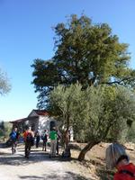 und das ist heute bereits unsere 2. Kapelle