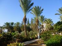 3.Tag, 26.10.2013: Berg der Seligpreisungen