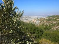 4.Tag, 27.10.2013: Besuch der Ölmühle in Avtalyon (Blick auf Arrabe)