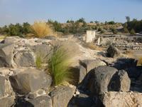 4.Tag, 27.10.2013: Ausgrabungsgelände Bet She´an