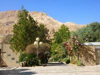 5.Tag, 28.10.2013: Botanischer Garten im Kibbuz 