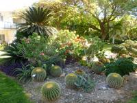 5.Tag, 28.10.2013: Botanischer Garten im Kibbuz 