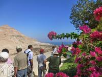 5.Tag, 28.10.2013: Botanischer Garten im Kibbuz 