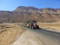 5.Tag, 28.10.2013: SPA En Gedi am Toten Meer (Shuttle-Traktor zum Meer)