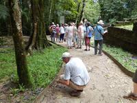 Im Urwald - Palenque