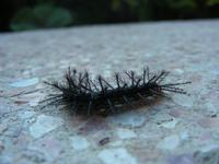 Bitte nicht anfassen