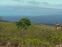 Blick von der Sierra Negra