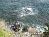 Die ersten Eindrücke vom Meer