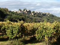 034 Weinanbaugebiet Luberon