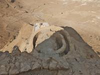 6.Tag, 29.10.2013: Massada (Nordpalast des Herodes)