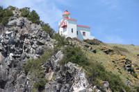 Bootsfahrt in der Bucht von Dunedin