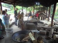 Blick in eine Erdnuss-Rösterei