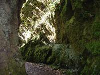 Levada-Wanderung zum Aussichtspunkt Balcoes