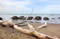 Besuch der Moeraki Boulders an der Ostküste