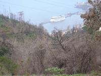 Anwesen der Familie Blandy - Blick mit Schäden aus Waldbrand