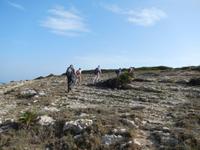 Aufstieg zum Puig Negre de sa Torre