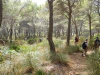 Abstieg Richtung Cala Ratjada