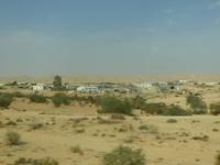 7.Tag, 30.10.2013: Beduinen-Siedlung in der Negev-Wüste