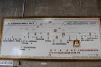 Familienstammbaum der Zayed-Familie