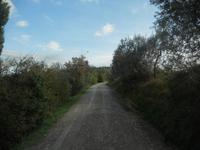 Fahrt zum Weingut von Montaioncino