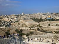 10.Tag, 02.11.2013: Blick vom Ölberg auf die Altstadt mit Al-Aqsa-Moschee und Felsendom