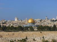10.Tag, 02.11.2013: Blick von der Kirche Dominus Flevit auf die Altstadt mit dem Felsendom