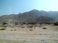 Halbwüste im Wadi Aqaba