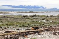 Blick auf die Bucht von Kaikoura