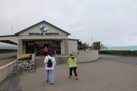 Station für die Walbeobachtungstour in Kaikoura